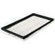 SuperTech 1280 Engine Air Filter, Replacement Filter for Ford